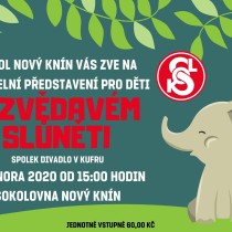 Zvědavé slůně