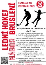 Lední hokej