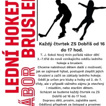 Lední hokej